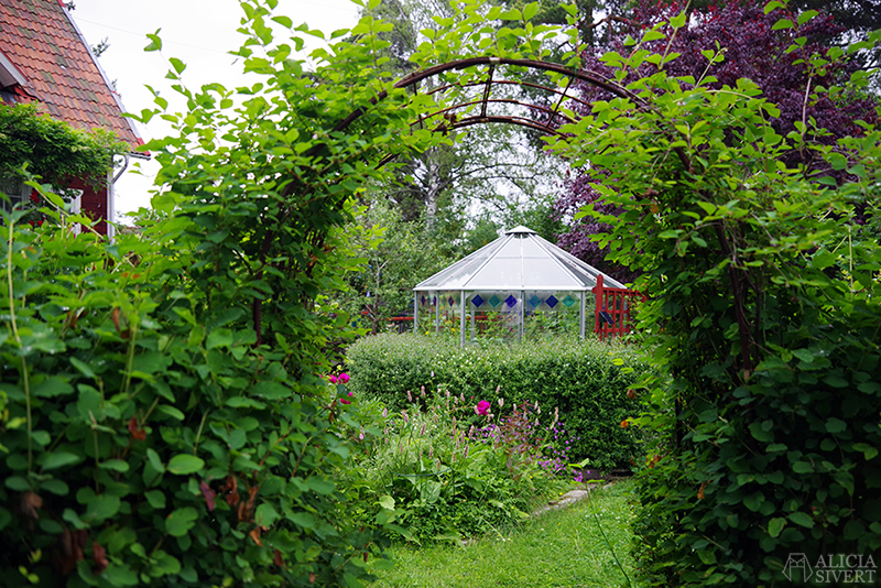 Växthus sett från bersån. Mammas trädgård - www.aliciasivert.se